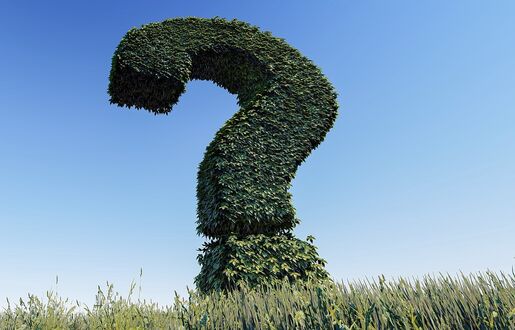 Fragezeichen auf Wiese